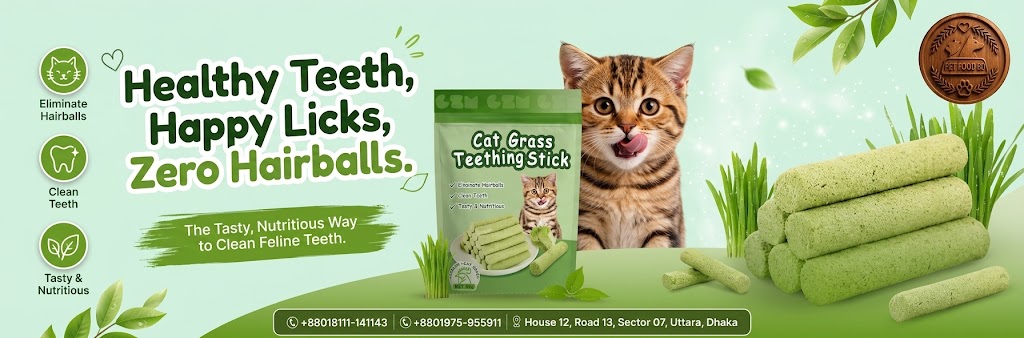 Cat Grass Tooth Stick